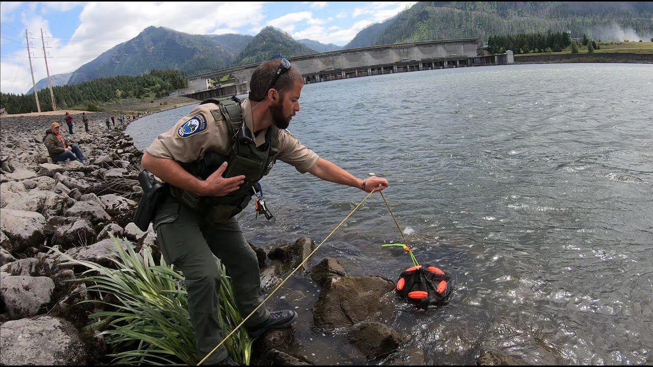Shad #fishing Bonneville Dam & Game Warden Check License & fish.