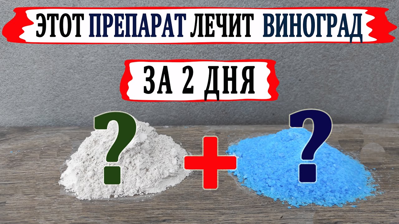 🍇 Этот ФУНГИЦИД  ВЫЛЕЧИТ Ваш ВИНОГРАД за двое суток. Как правильно изготовить бордоскую жидкость.