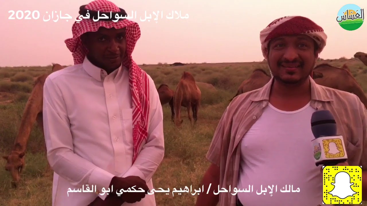 مع مالك الإبل السواحل / إبراهيم يحى حكمي ابو قاسم منطقة جازان 1442/2/8