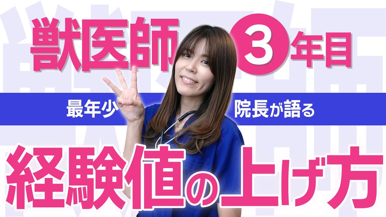 獣医師3年目で最年少院長になれた理由！攻略すべき4つの病気
