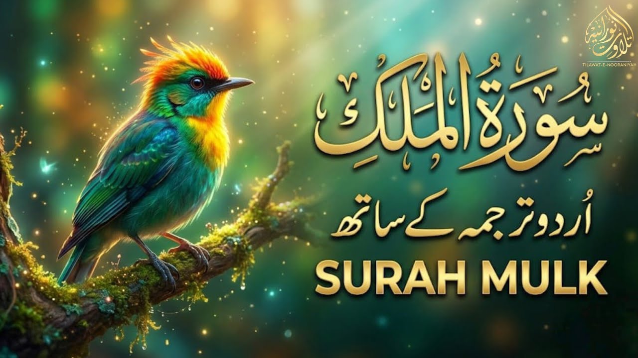 Surah Mulk  Full With Urdu Translation | Heart Touching Tilawat | قاری منصور غزنوی EP|08