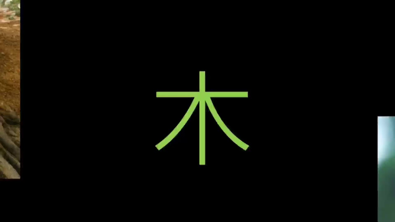 Wood Element in Traditional Chinese Medicine