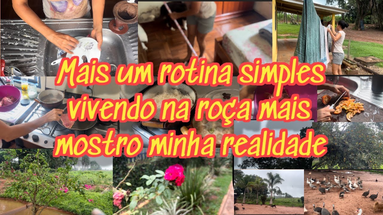 Rotina de uma dona de casa que trabalhar fora que mostra a realidade almoço natureza 