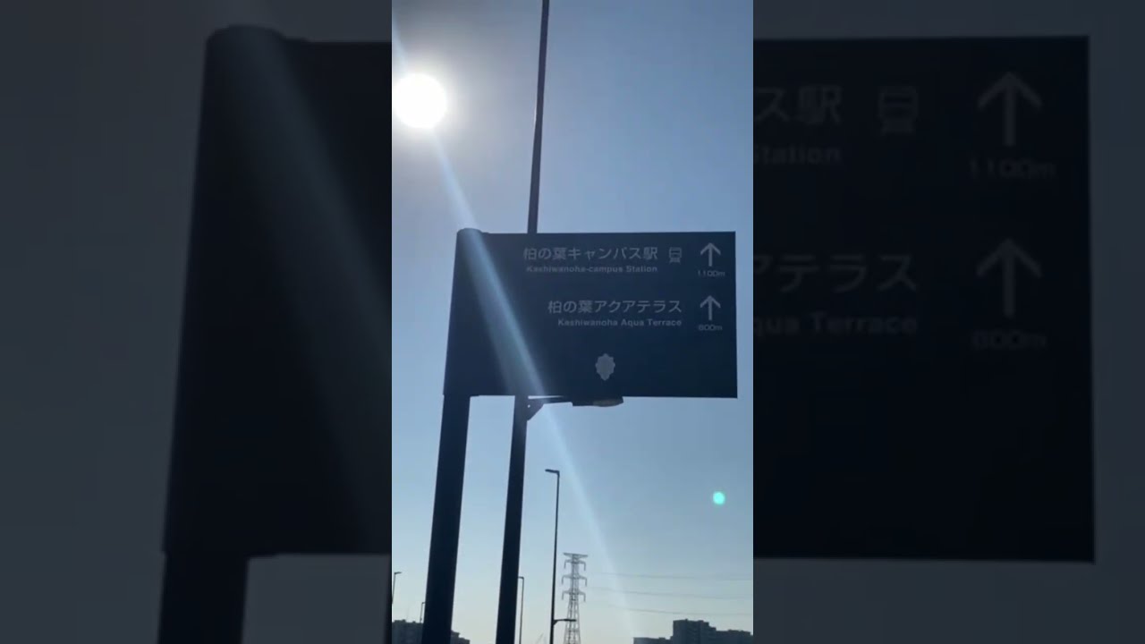 柏市でさまようLIVE