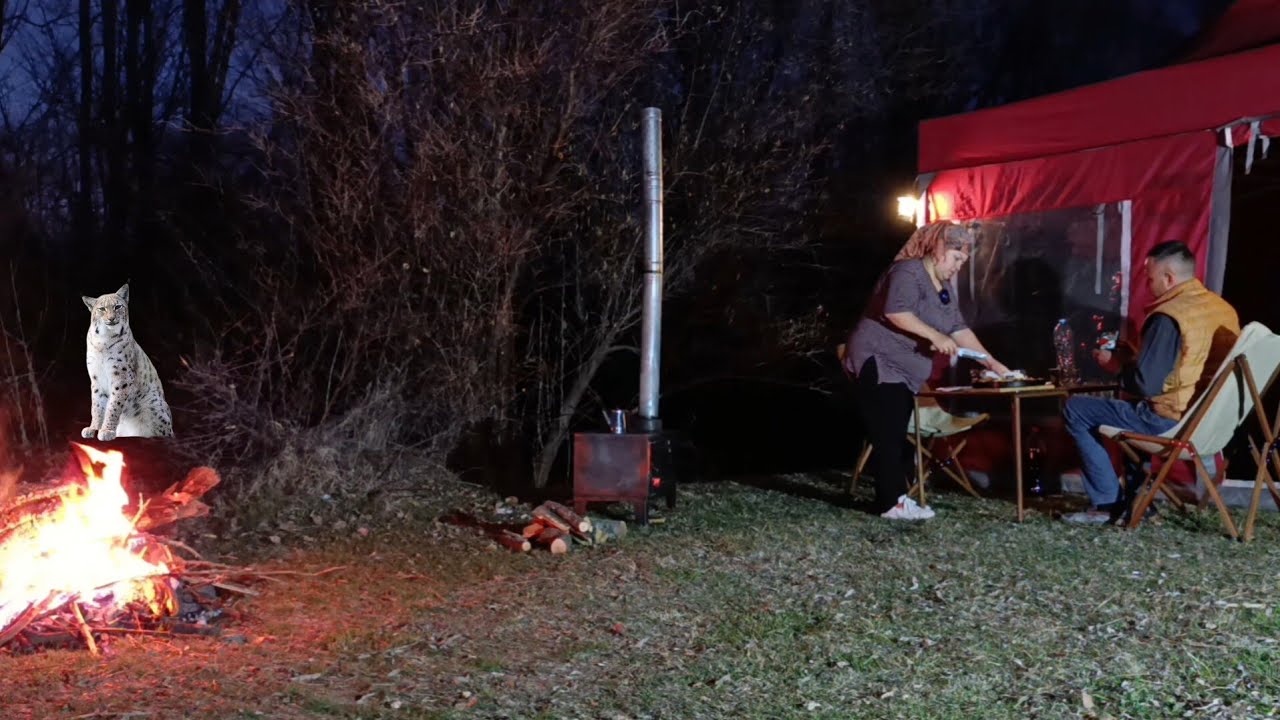 GECE BİZİ GÖZETLEYEN GİZEMLİ YARATIK. #çadırkamp #düşərgə #camping #kamp  #ytdayibenionecikarnolur