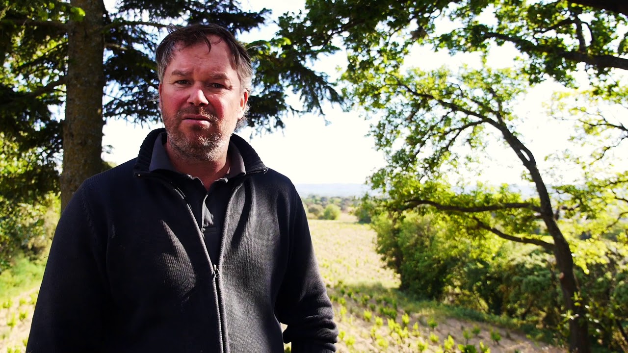 Rhone Jahrgang 2018: 