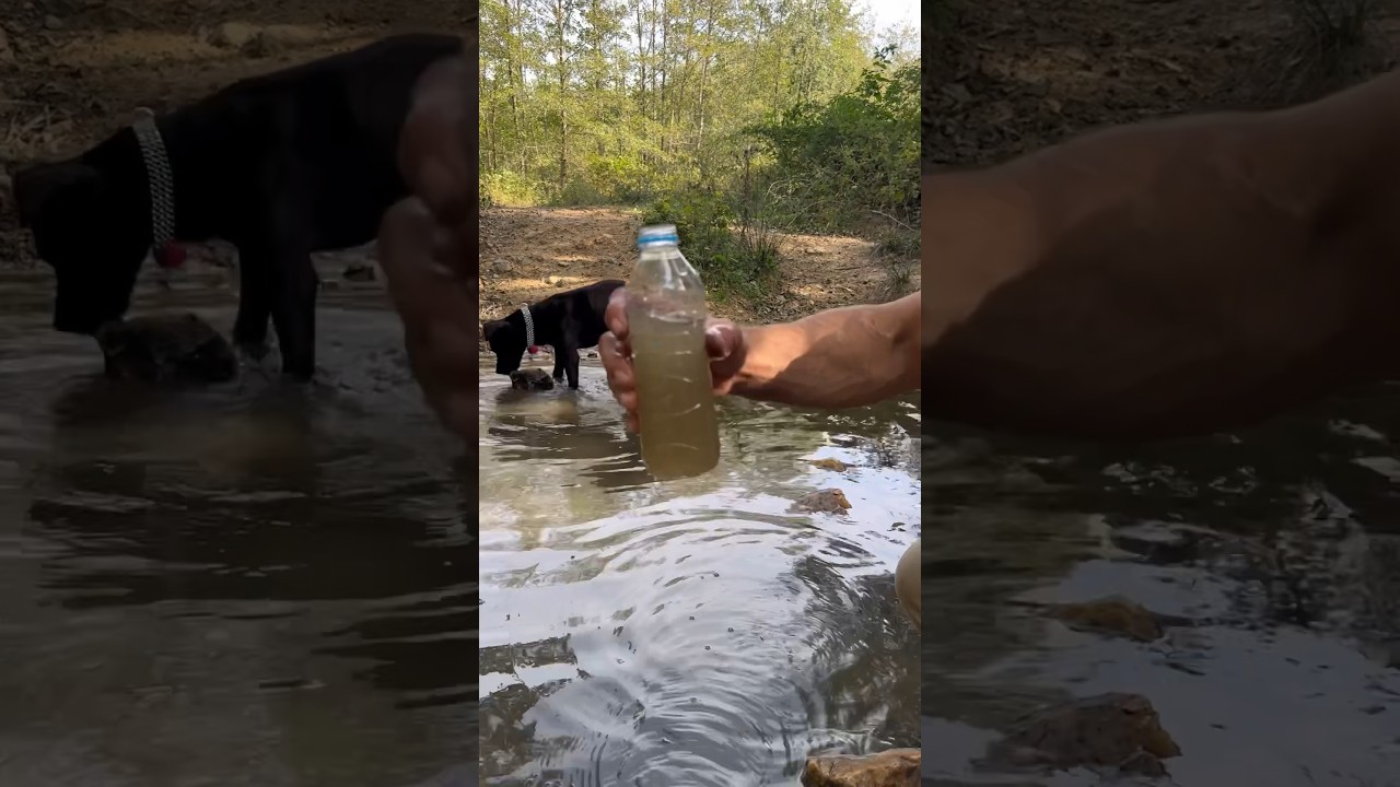 Doğada su arıtma//Water purification in nature #camp #su#water#Purification#arıtma