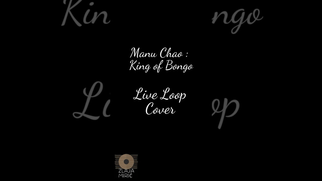 Manu Chao - King of Bongo ( cover ) Live Looping