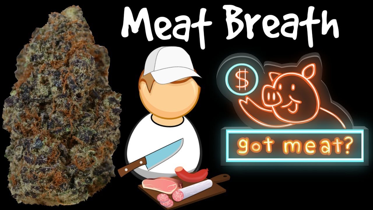 MeatBreath OFFICIAL strain review