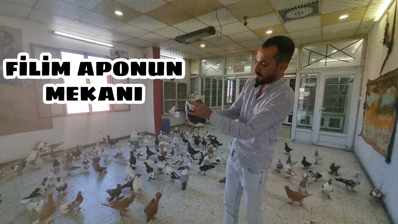 ANTEP FİLO VE ELVAN KUŞLARI İHALECİ ABDULLAH ALICI K&Uuml;MESLERİ
