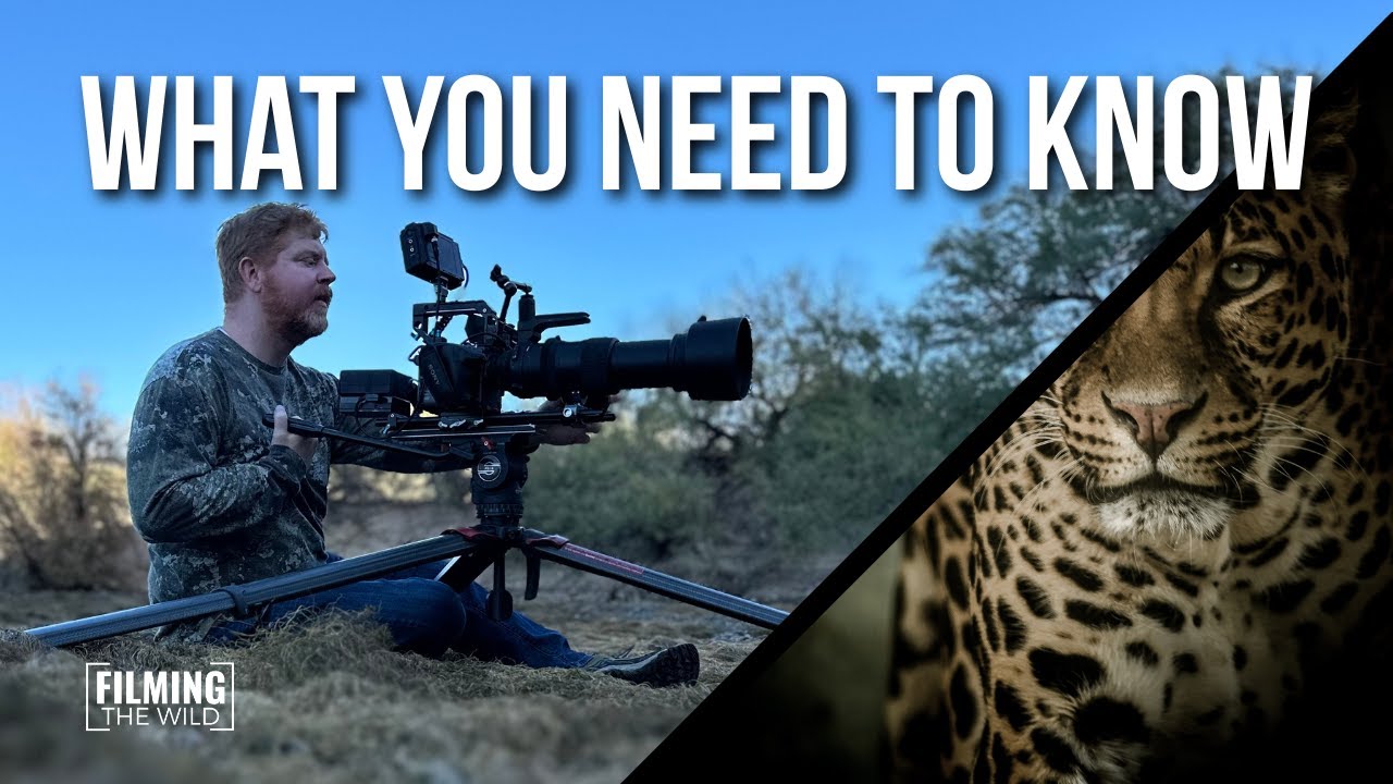 How&nbsp;To&nbsp;Get&nbsp;Started&nbsp;as&nbsp;a&nbsp;Wildlife&nbsp;Filmmaker