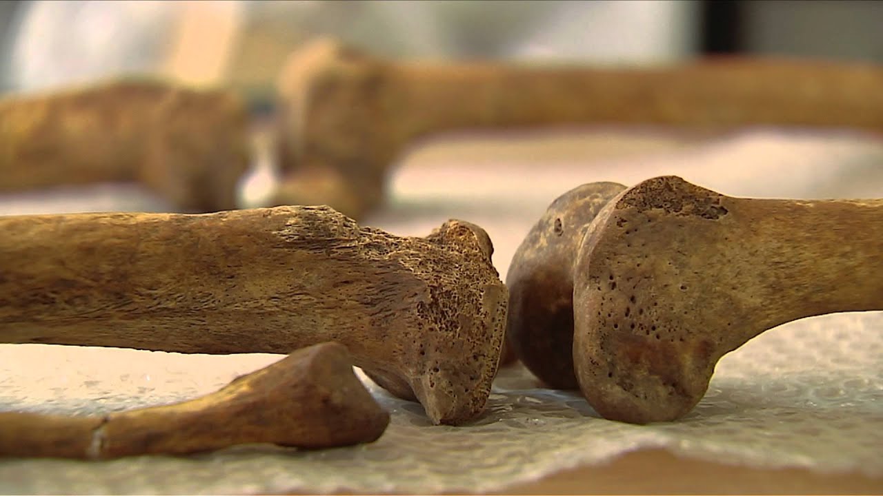 Forensic Archaeology at the University of Leicester