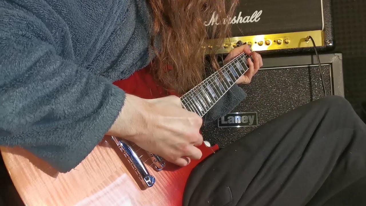 Gojira - Silvera (cover)