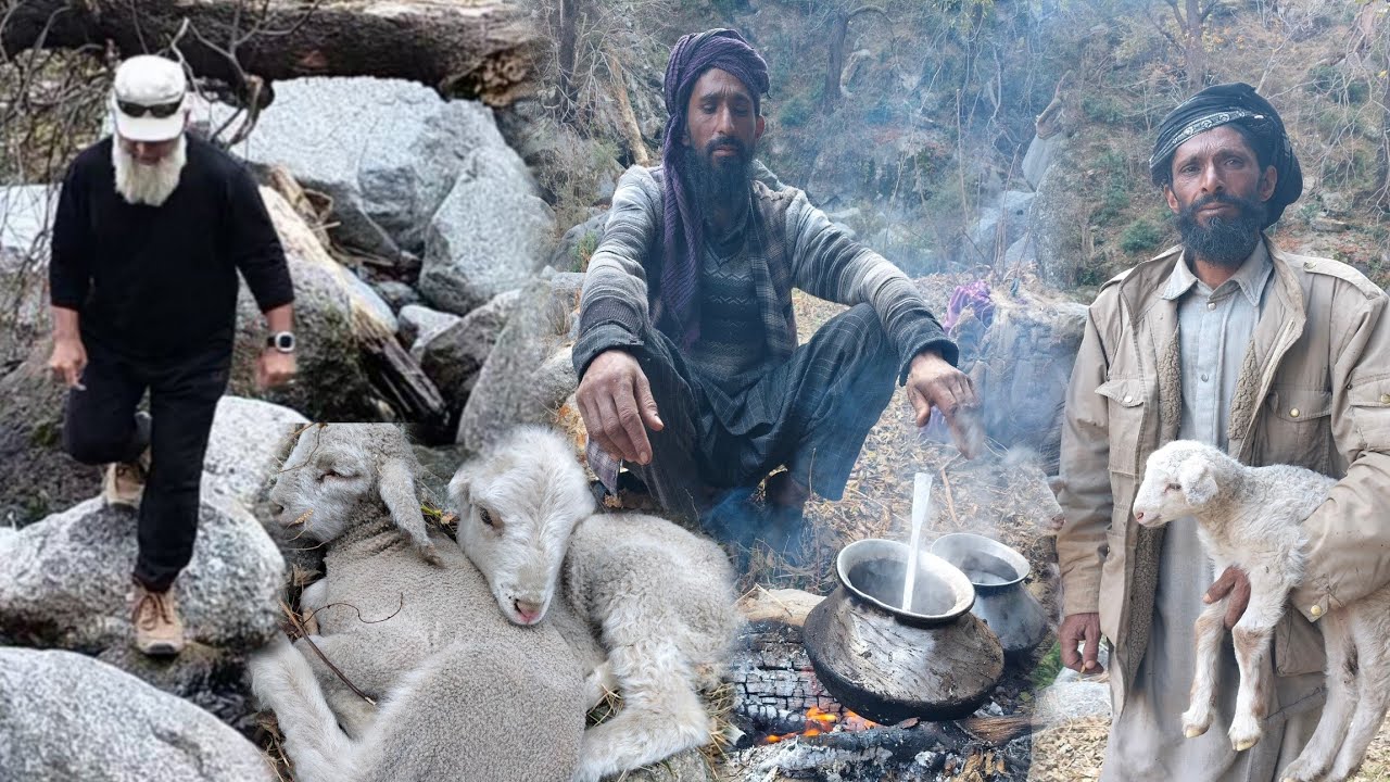 Local Nomads Of Jammu Kashmir 🥰 || Shepherds❤️ Life In Winter || Life In Mountains 
