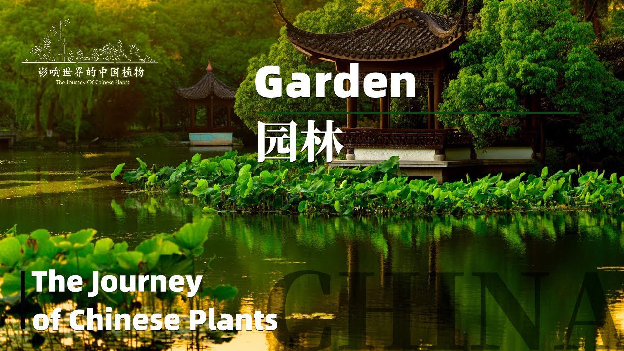 The Journey of Chinese Plants GARDEN｜1080P｜影响世界的中国植物 园林