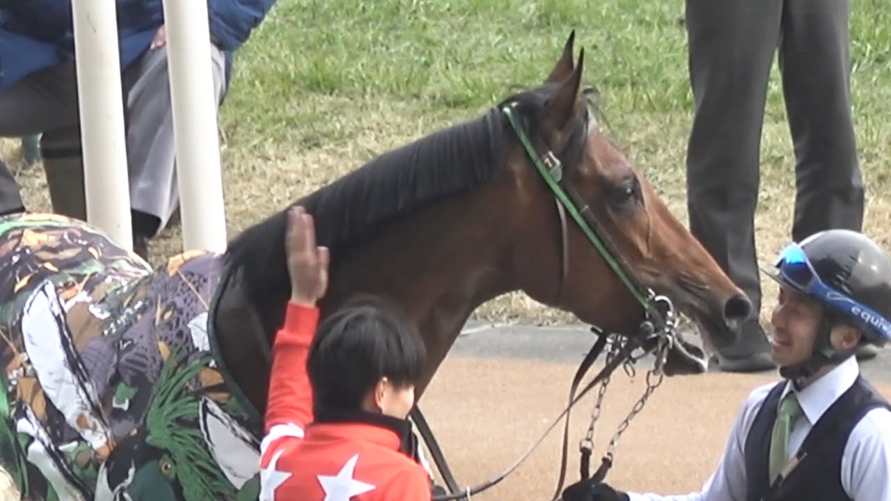 【現地】2026 箱根特別 レッドバンデ 佐々木 大輔【東京競馬場 アーモンドアイ初子のアロンズロッドも出走】