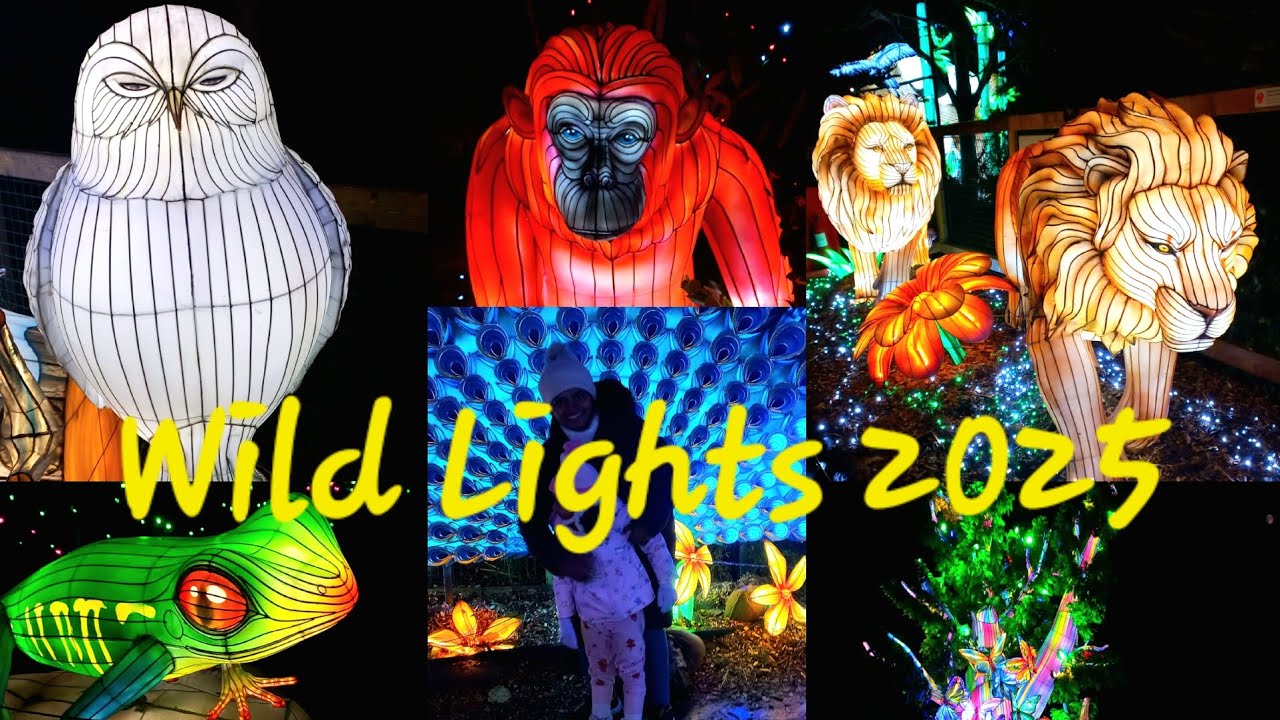 Go and experience the magic of Wild Lights 2025 #Ireland #Dublin #2025 #wildlights @khvlogger7940 