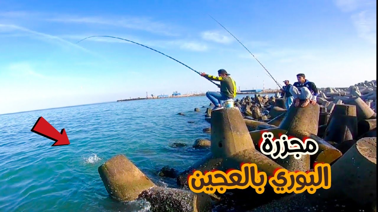 صيد البوري والشراغيش والبطاطا البرطيش بالعجين وعبد الجواد ولعها