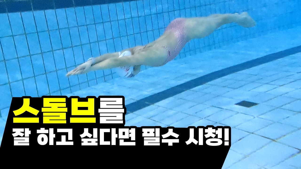 스타트, 돌핀킥, 브레이크 아웃 잘하고 싶다면? 스돌브 집중 공략!