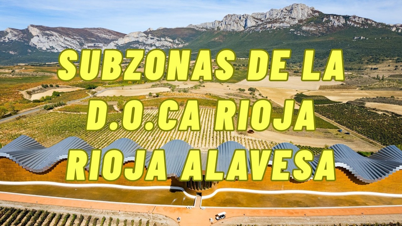 17 - Subzonas de la C.O.Ca Rioja - Rioja alavesa - 7 MAGAZINE - 30-01-2026