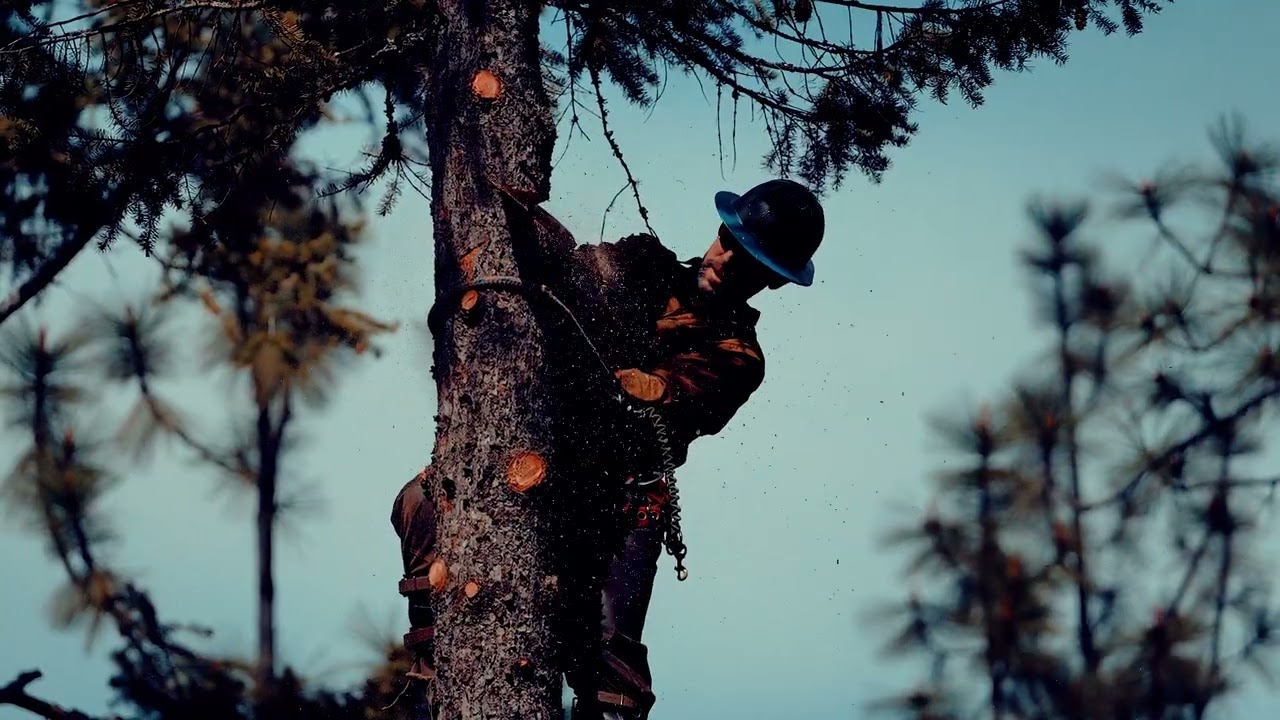 Dave Zickler, The Tree Guy