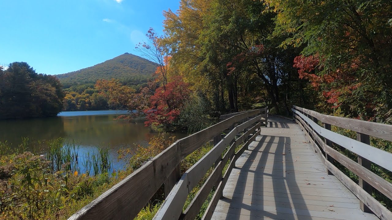 Walking : Peaks of Otter Lodge Virginia Fall 2022