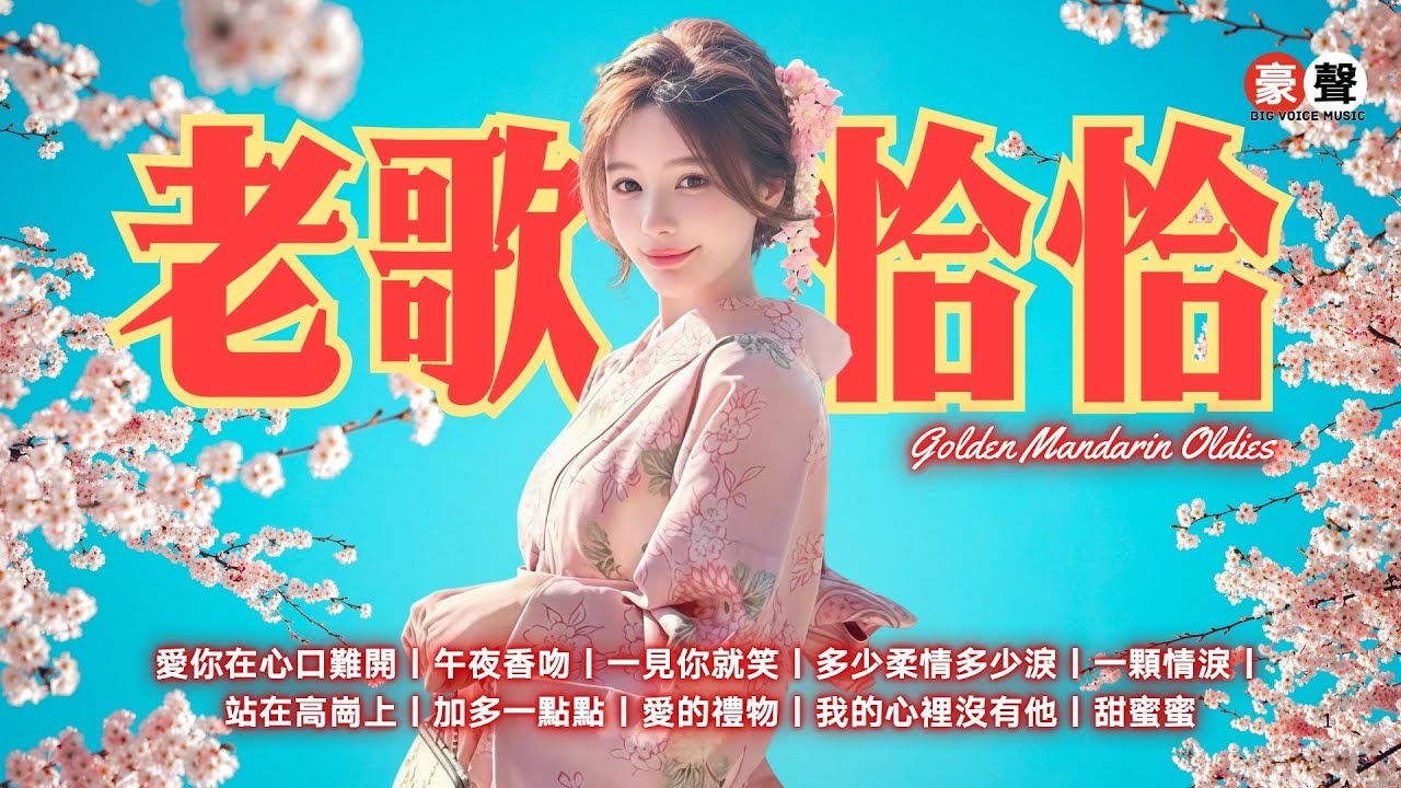 【老歌恰恰】愛你在心口難開丨午夜香吻丨一見你就笑丨多少柔情多少淚丨一顆情淚丨站在高崗上丨加多一點點丨愛的禮物丨我的心裡沒有他丨甜蜜蜜  Mandarin Oldies (歌詞版)