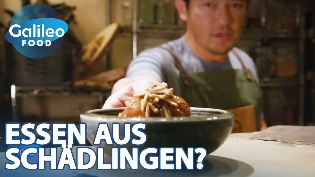 Kampf dem Unkraut: Dieser Koch macht Sushi aus invasiven Arten! | Galileo Food