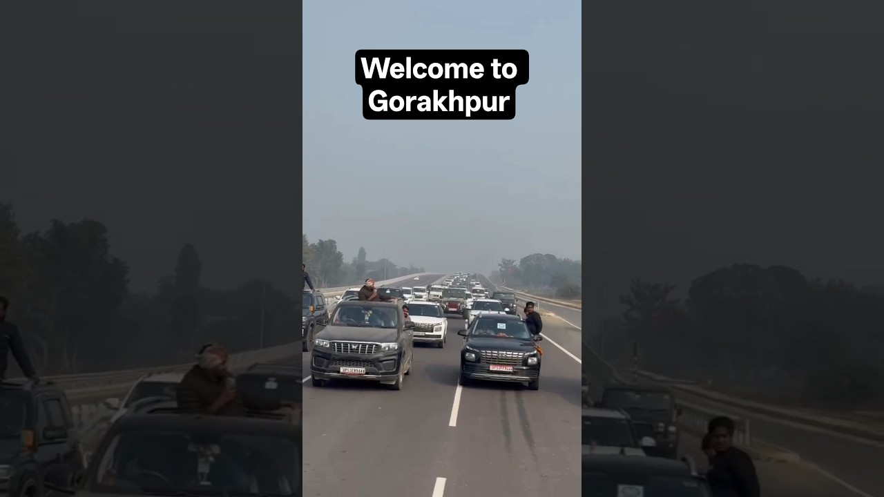 Pankaj Chaudhary BJP up president 