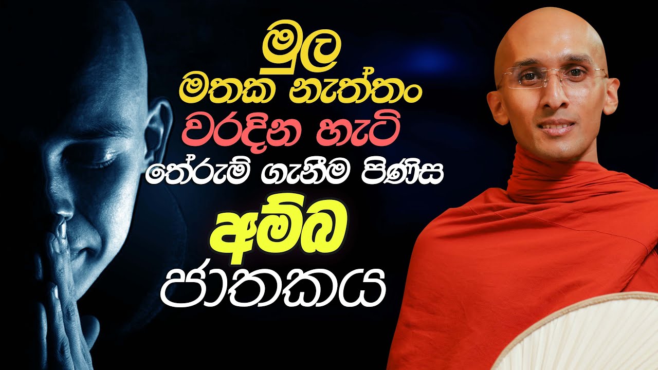 244. අම්බ ජාතකය | amba  jathakaya | 2024-01-27