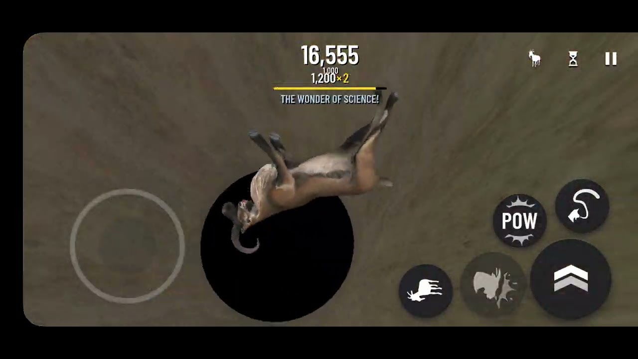 Silly goat