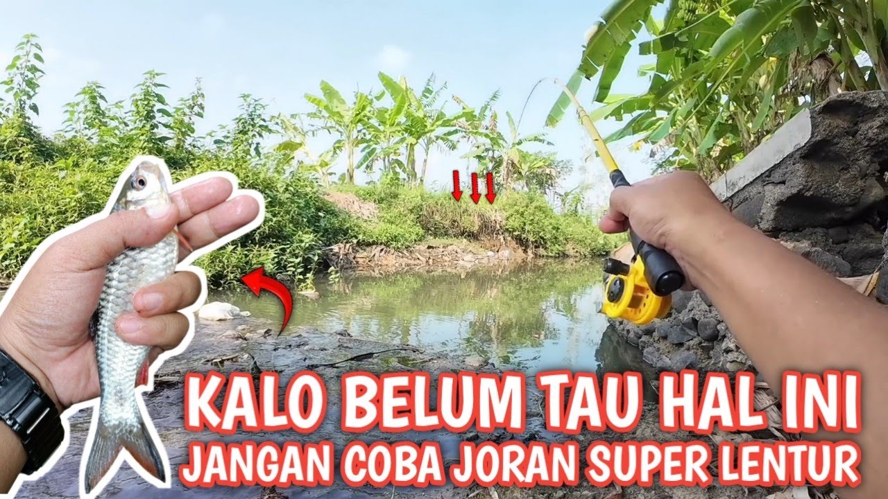 AKHIRNYA KETAHUAN‼️ DIBALIK SENSASI JORAN SUPER LENTUR TERNYATA ADA HAL RIBET YANG BIKIN EMOSI 🎣🔥