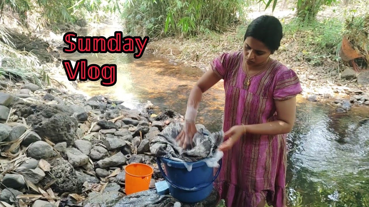 Sunday vlog 🥰🥰 നാട്ടിൻ പുറത്തെവിശേഷം #family #video 