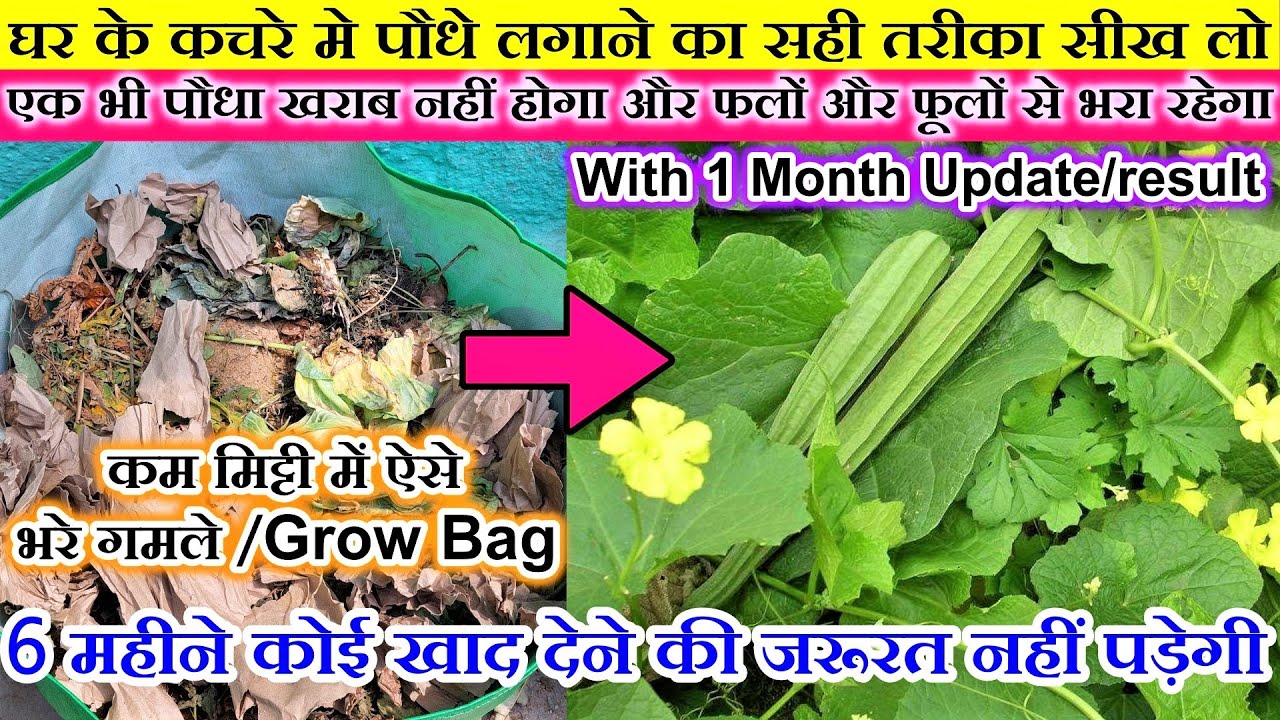 कचड़े से गमले/ग्रो बैग भरकर free में उगाएं ढेरों सब्जियां | Fill Grow bags with less soil & waste
