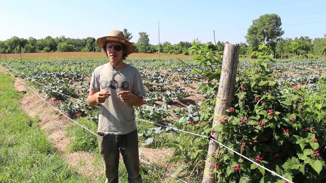 Earth Haven Biodynamic Farms - Municipality of Tweed