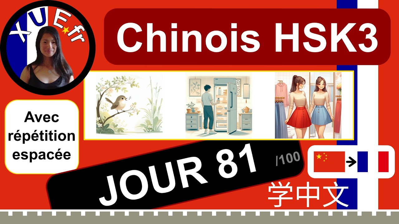 Cours de chinois HSK3 🇨🇳›🇫🇷 JOUR 81, 鸟，冰箱，裙子, avec répétition espacée.