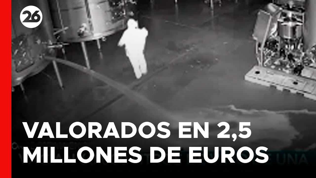 ESPAÑA | Se desperdician 60.000 litros de vino en una bodega de Valladolid