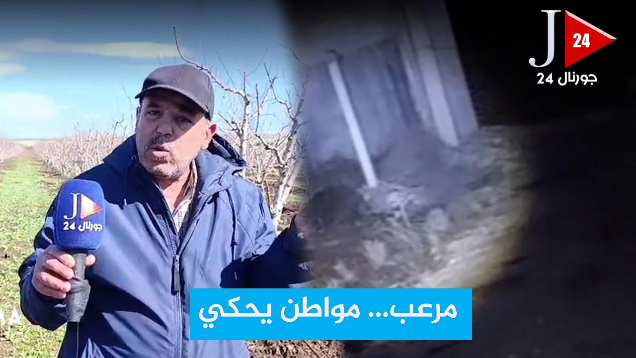 مواطن يروي ظهور خنزير بري ضخم بنواحي مدينة مكناس