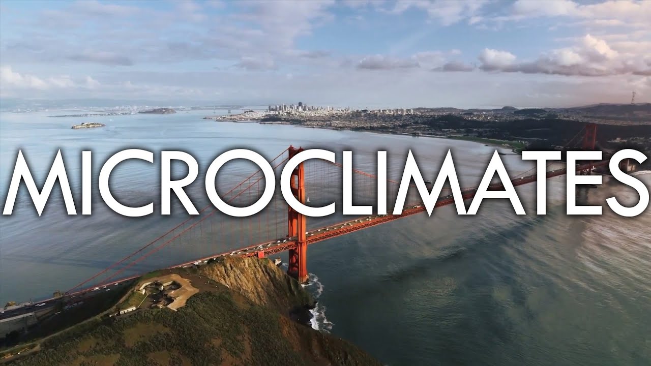 Микроклиматы - основные причины и драматические последствия