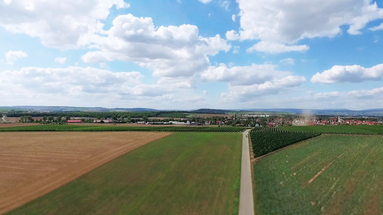 Rheinhessen – Der Film