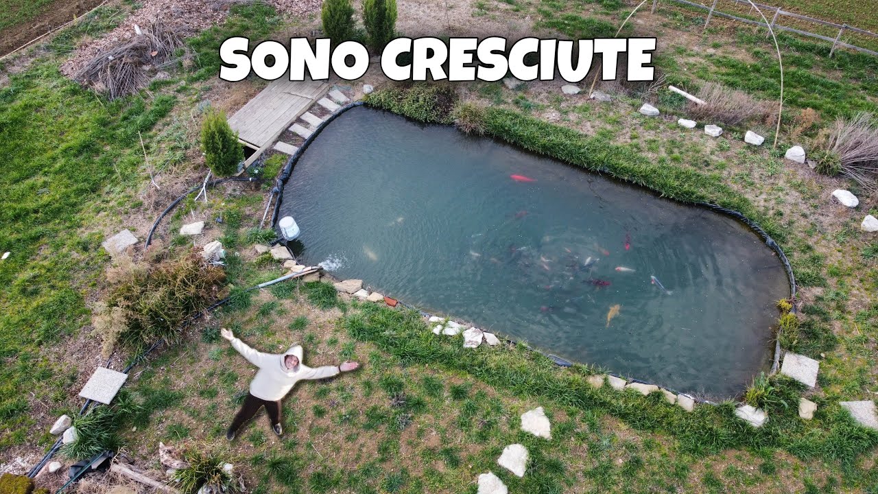 NON COSTRUIRE UN LAGHETTO IN GIARDINO PRIMA DI VEDERE QUESTO VIDEO