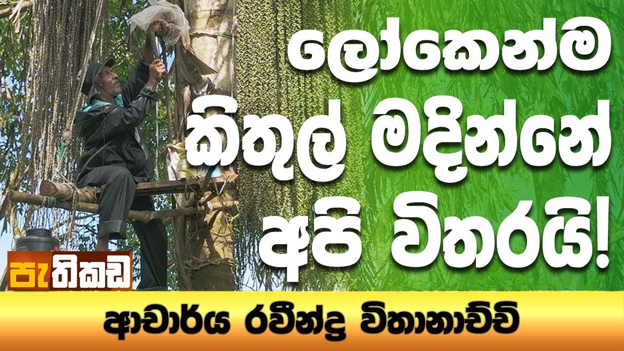 කිතුල් මැදීමේ තාක්ෂණය දැන් UNESCO ලෝක උරුමයක් !