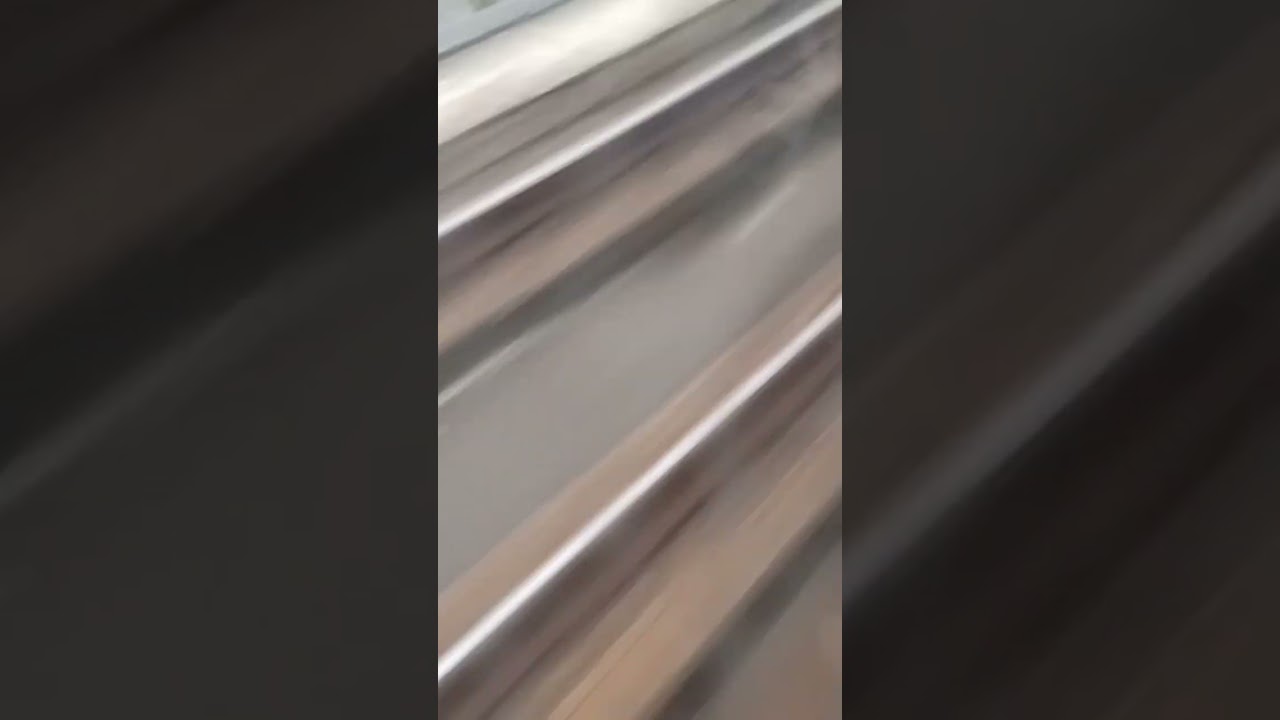 RILES NG TRAIN