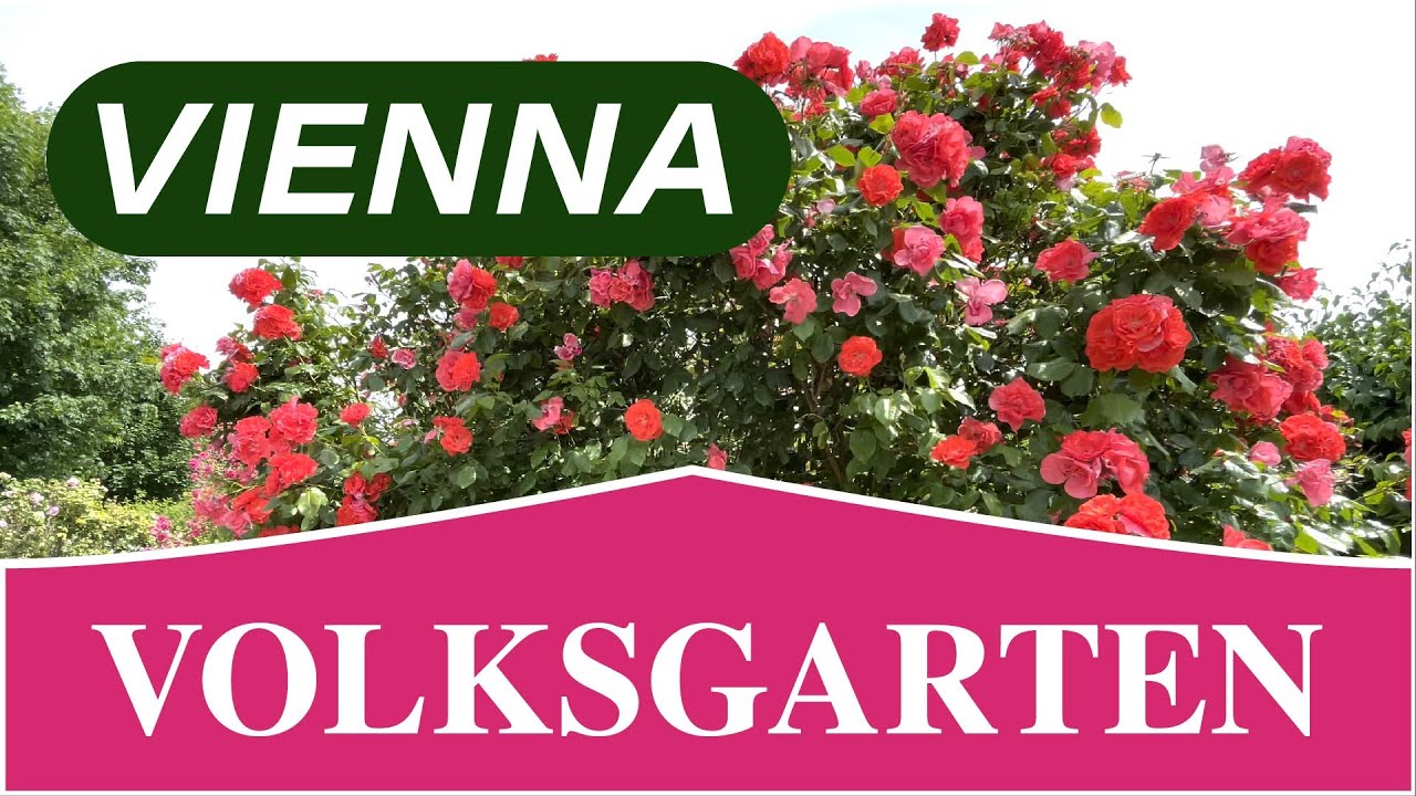 VOLKSGARTEN - Walking Tour 🇦🇹 VIENNA AUSTRIA - May 2022 - 4K