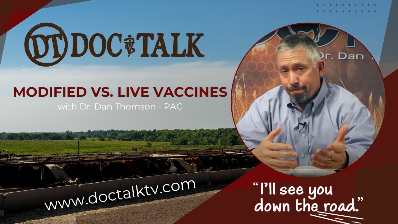 DocTalk Ep 358 - Modified vs. Live Vaccines ( IBR, BVD, BRSV, PI3)