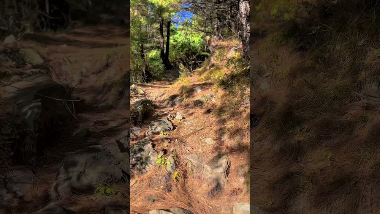 #hiking #travel #traveling #mountains #peace #loveyourself #foryou #hikingadventures