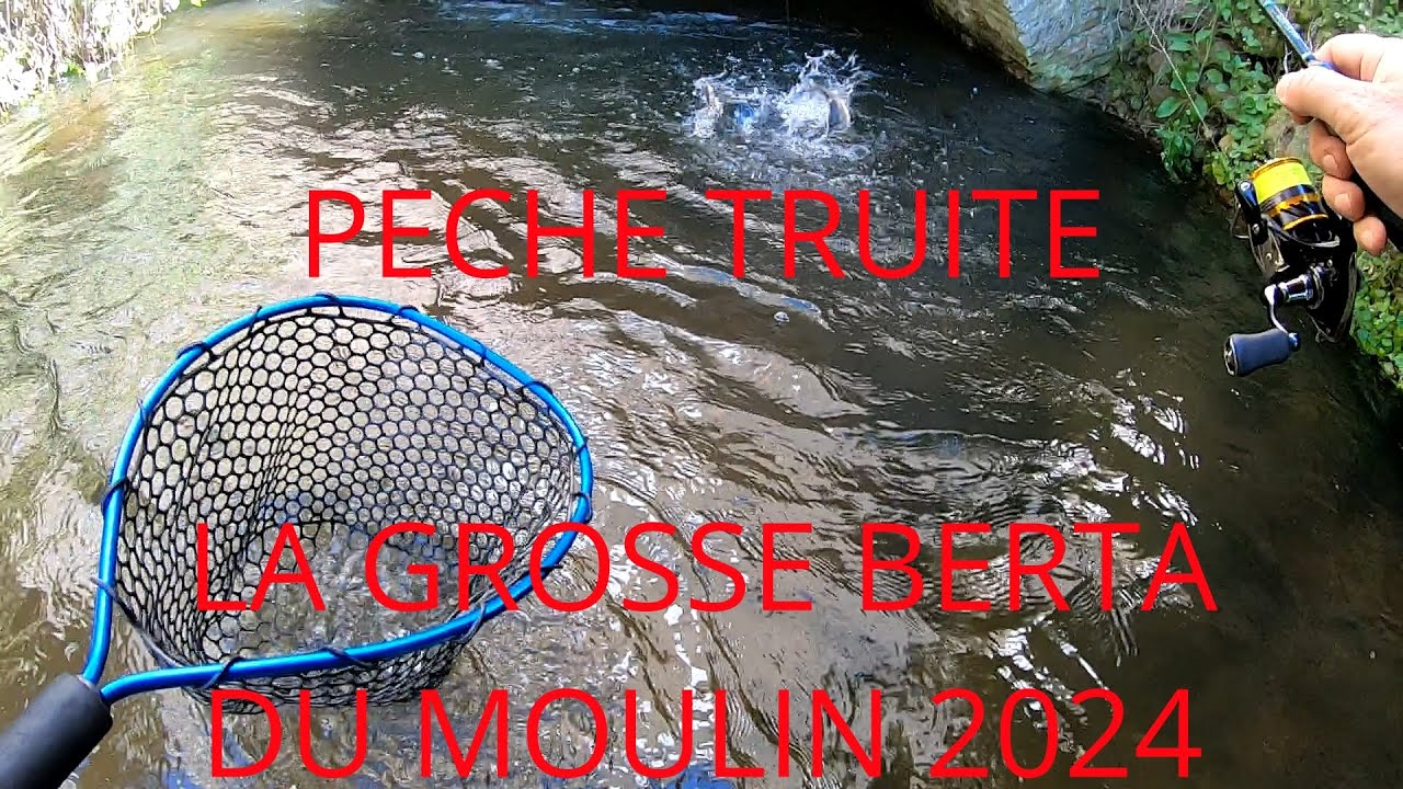 PECHE TRUITE LA GROSSE BERTA DU MOULIN EST DE RETOUR