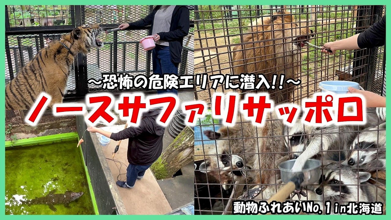 【ノースサファリサッポロ】動物ふれあいNo 1in北海道～恐怖の危険エリアに潜入!!～