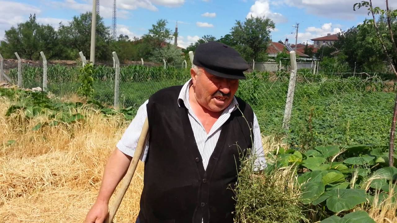 Şereflikocisar evren ilcesi