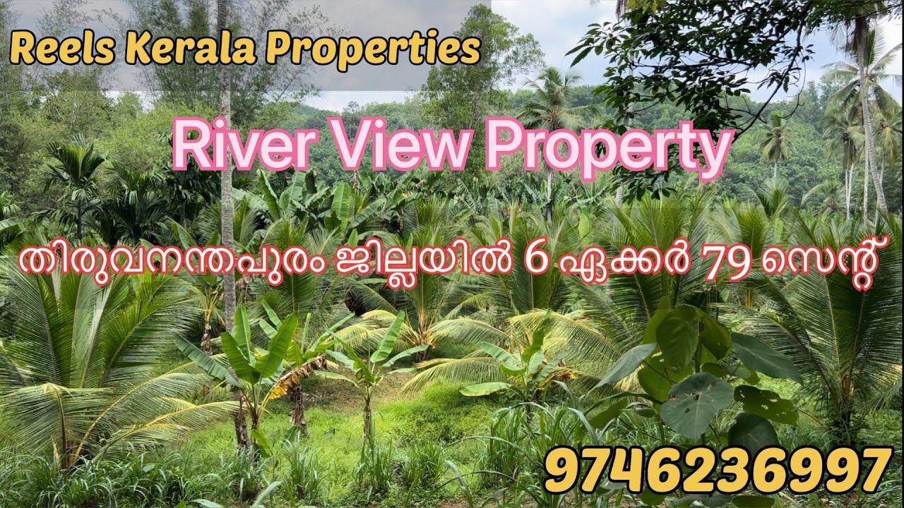 6 Acres 79 Cent | River View | Land For Sale | Trivandrum | Vellanad | Farm House | Call 9746236997